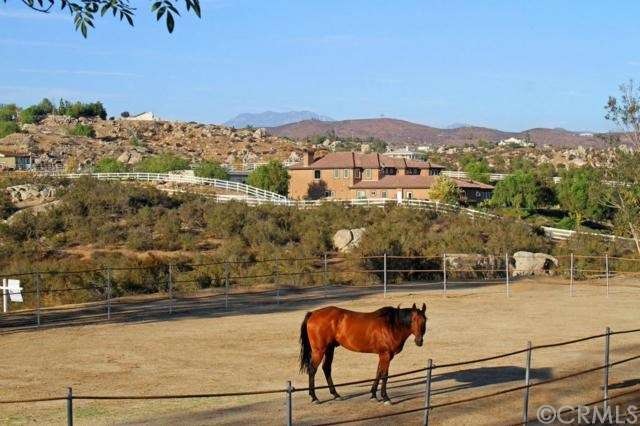 Views from the horse corral