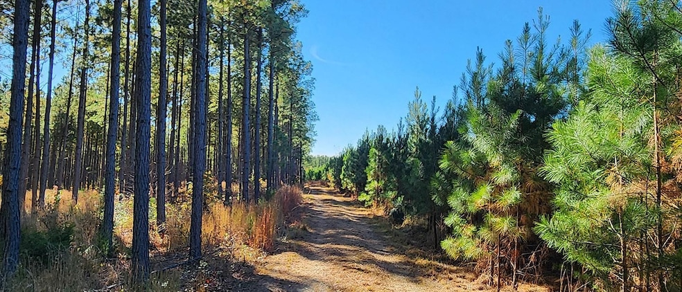 Partlow Rd, Beaverdam, VA 23015 - photo 1