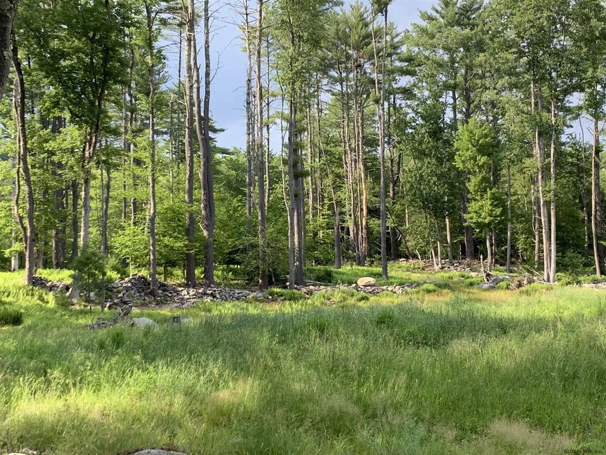 481-489 Garfield Rd, Stephentown, NY 12062 - photo 1