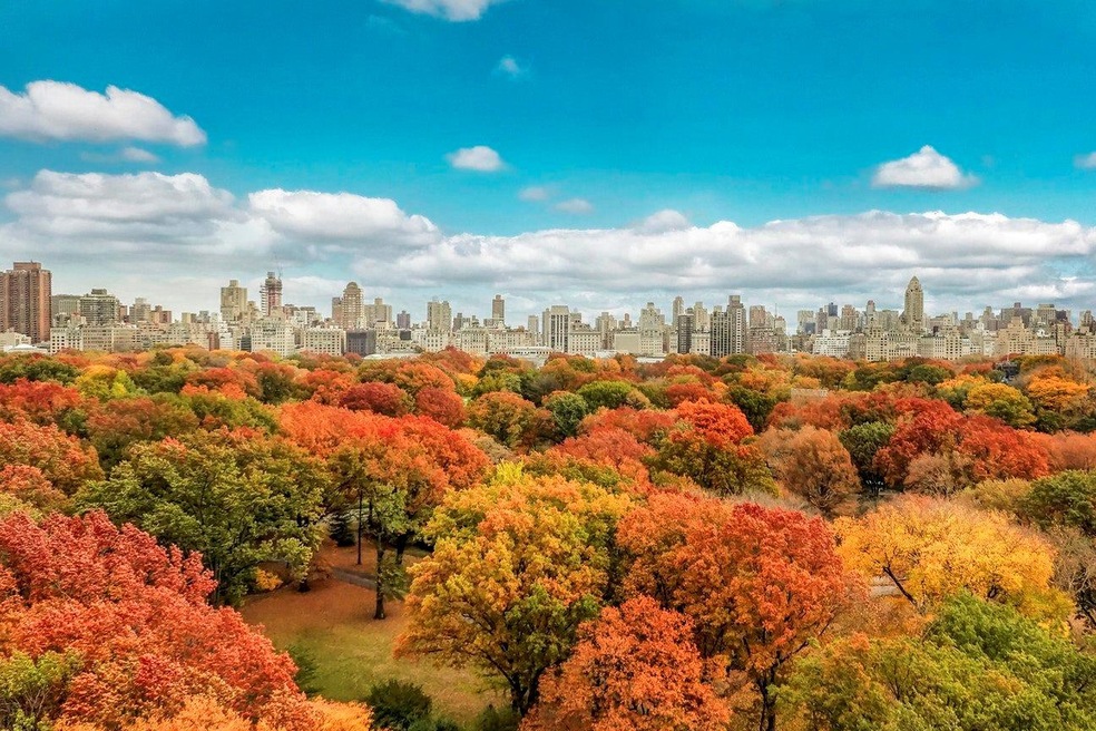 Sold $3,450,000 • Co-Listing Agent