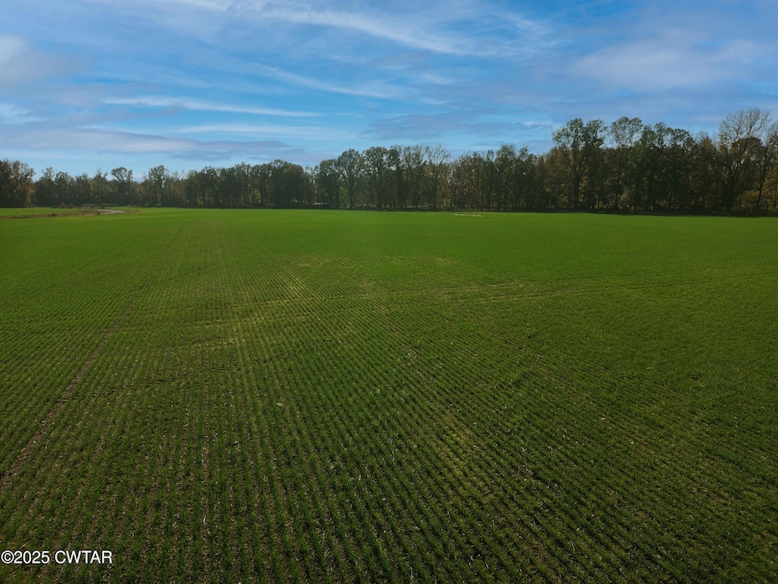 170 Hatchie-Station Rd, Mercer, TN 38392 - photo 1