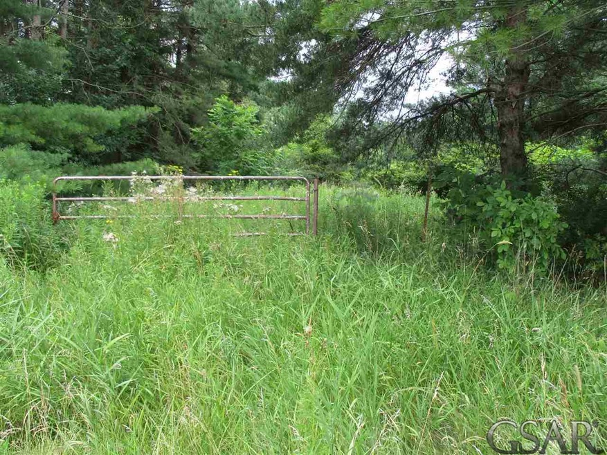 Parcel C Byron Rd, Lennon, MI 48449 - photo 1