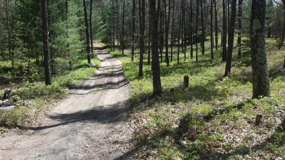RvDrRanch2