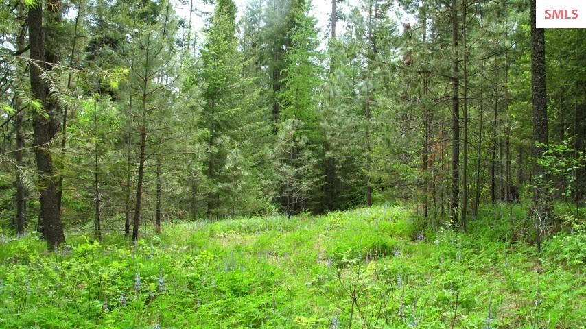 Lot 3 Wood View Rd, Sandpoint, ID 83864 - photo 1