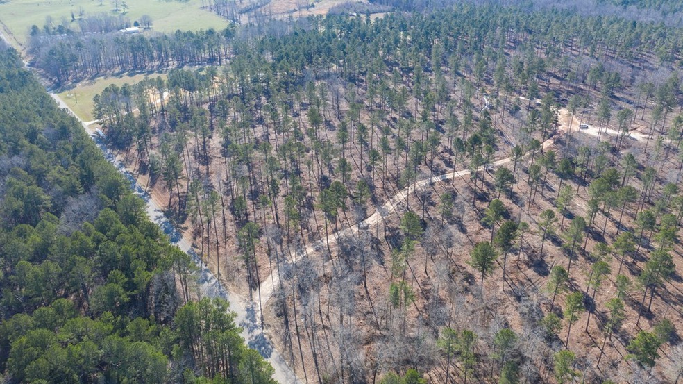 1911 White Rock Rd, Lincolnton, GA 30817 - photo 1