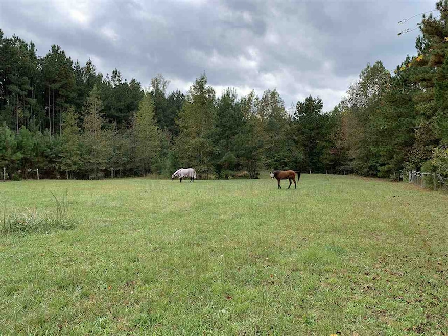 2425 Emerson Cook Rd, Pittsboro, NC 27312 - photo 1