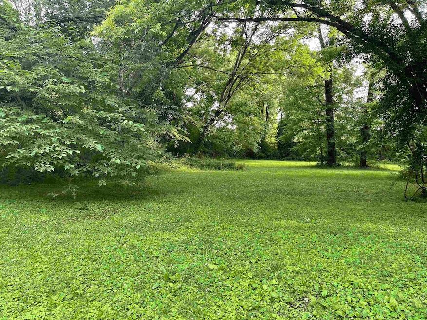 View of green lawn with a forest view