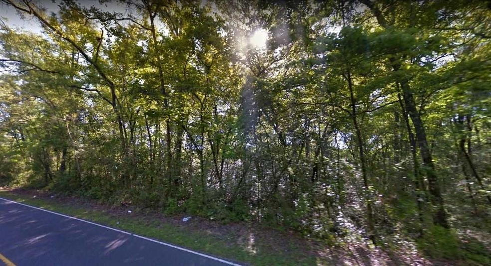 TBD Old Bethel Rd unit 289759, Crawfordville, FL 32327 - photo 1