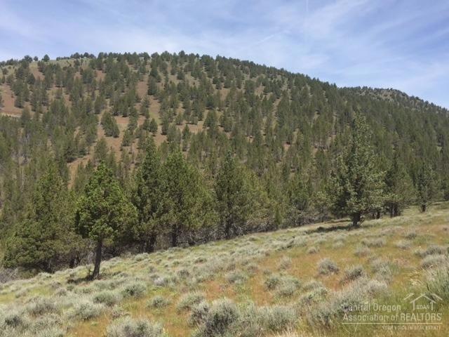 0 Shop Gulch unit 201705141, Mount Vernon, OR 97865 - photo 1