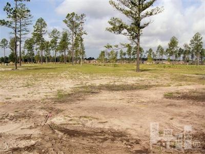 1275 Lillibridge Dr, Leland, NC 28451 - photo 1