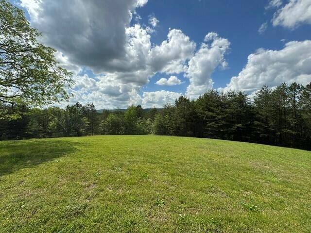 10104 Purple Martin Ln, Lakesite, TN 37379 - photo 1