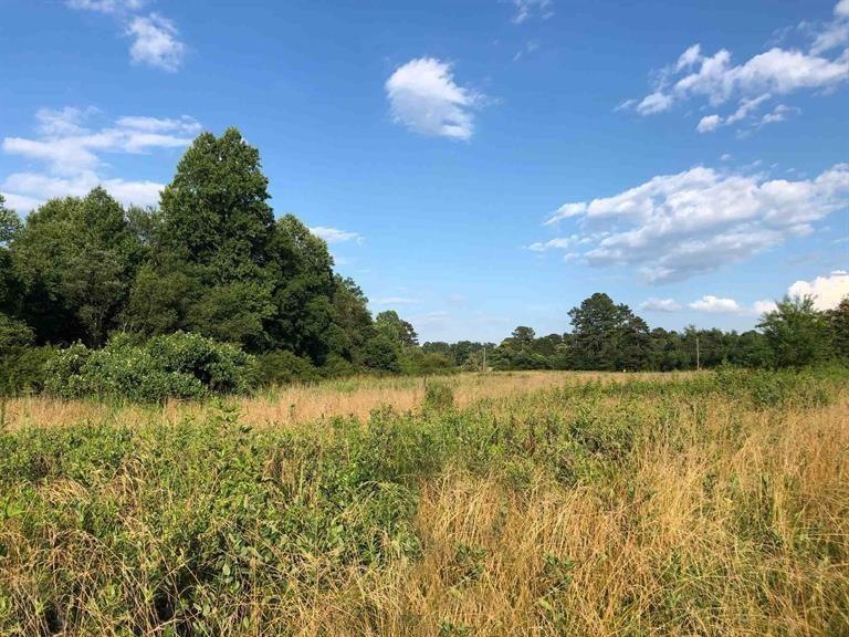 0 Highway 105, Demorest, GA 30535 - photo 1