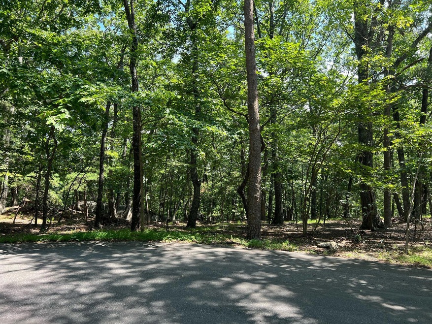 image1 (1)