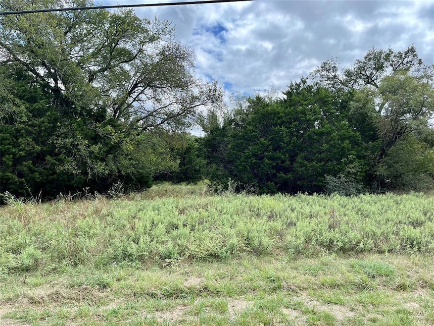 1119 Millcreek Tr, Whitney, TX 76692 - photo 1