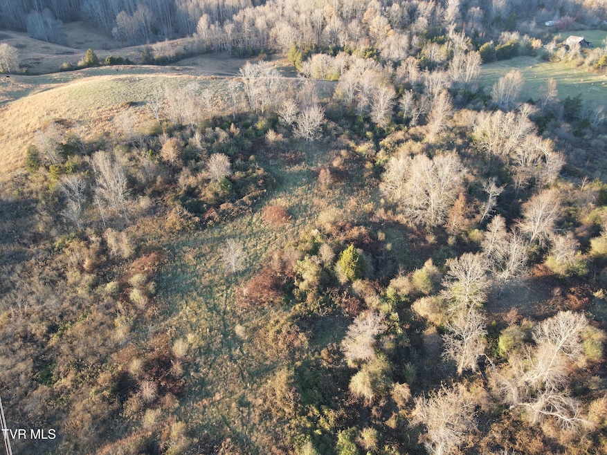 Tbd Sulphur Springs Rd, Jonesville, VA 24263 - photo 1