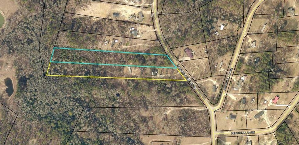 3393 Dearing Acres Rd, Dearing, GA 30808 - photo 1