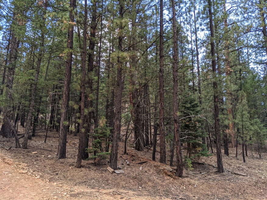 Lot is mildly sloped