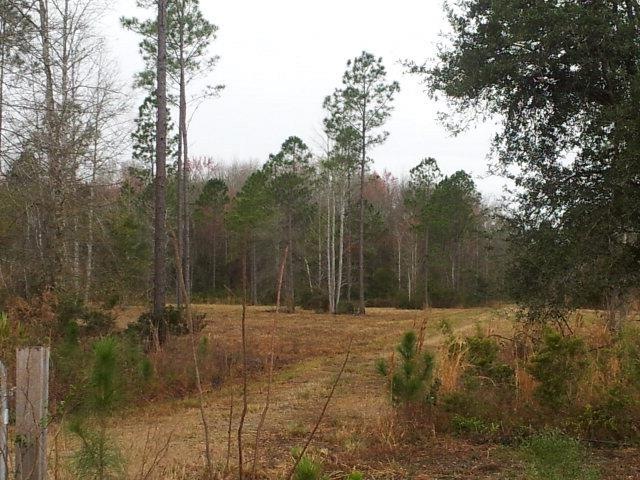 14.289 Green Swamp Rd, Brunswick, GA 31525 - photo 1