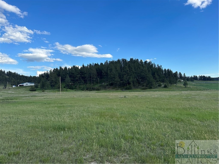 Note-this front photo shows both 10 acre parcels w
