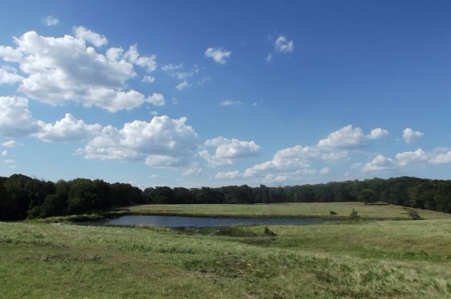 0 Fm 3273 unit 70938, Athens, TX 75751 - photo 1