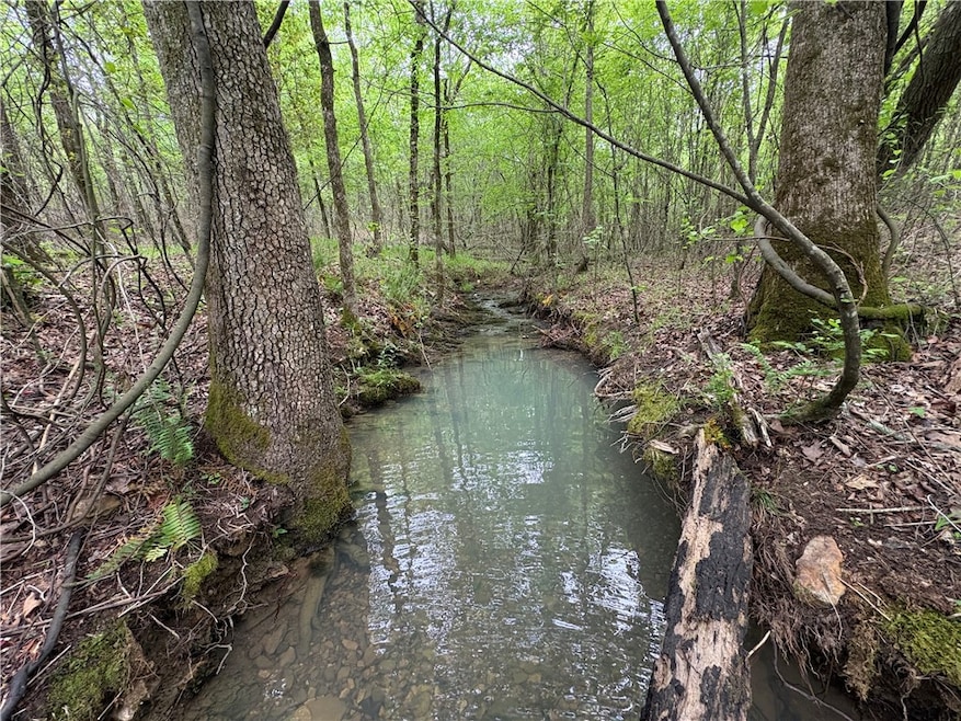 Tract 7 Nwf 517, Other Ar, AR 71935 - photo 1