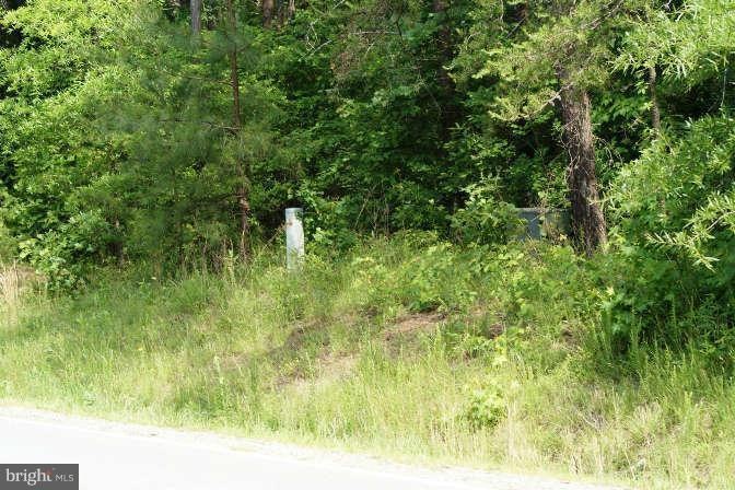 6539 Lawyers Rd, Spotsylvania, VA 22551 - photo 1