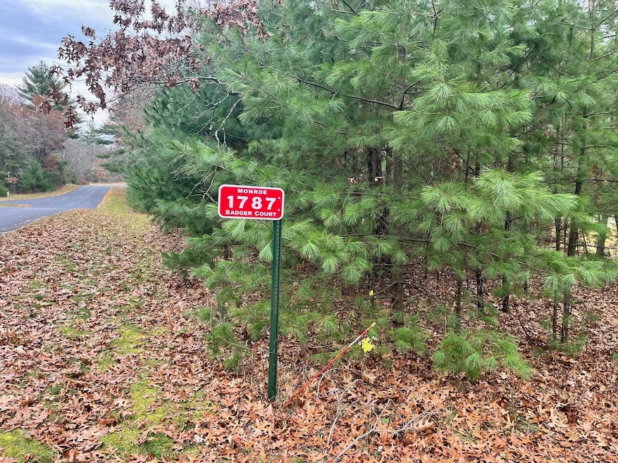 1787 Badger Ct, Monroe, WI 54613 - photo 1