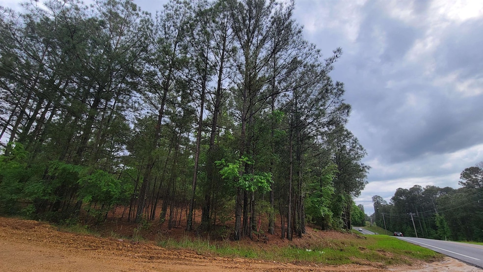 Sold $59,000 • Co-Listing Agent