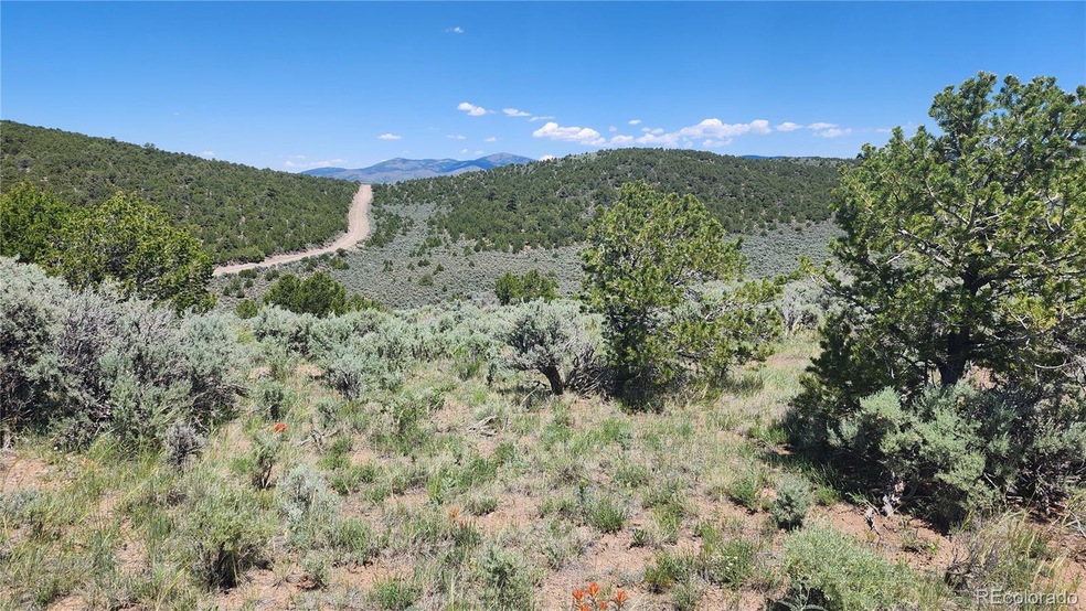 4536 Sarnoff Rd, Fort Garland, CO 81133 - photo 1