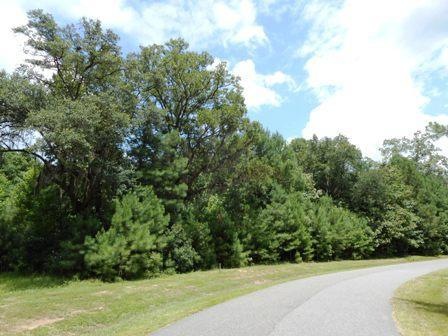 Boyle Plantation Lot 24 MLS #3