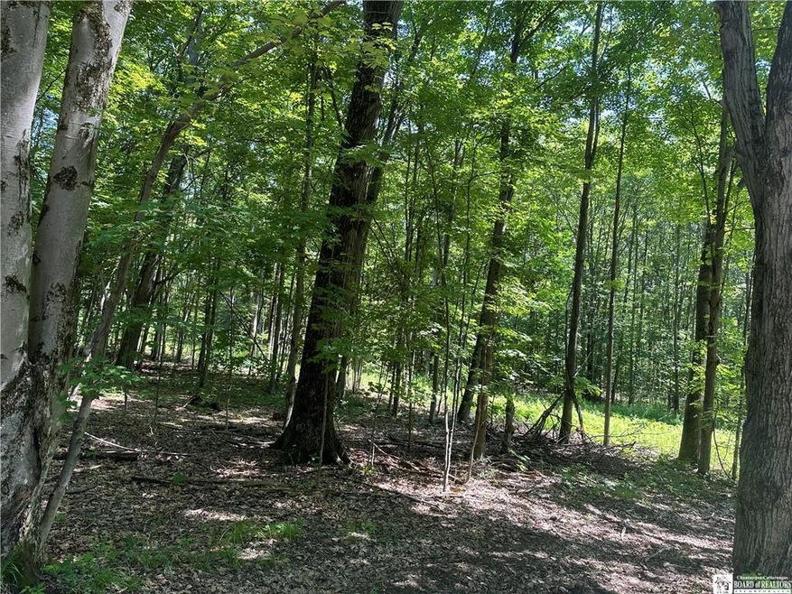 Red Oak