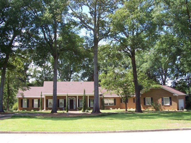 Main View