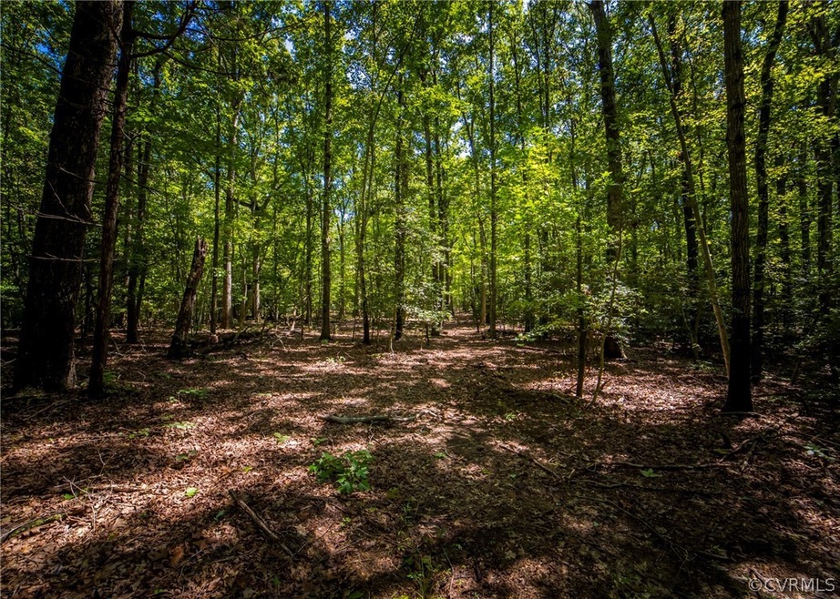 5781 Moore Creek Rd, Powhatan, VA 23139 - photo 1