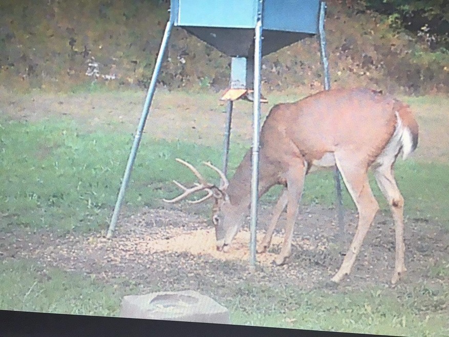 128 McClarity Fork Rd unit McClarity Tract 102, Branchland, WV 25506 - photo 1