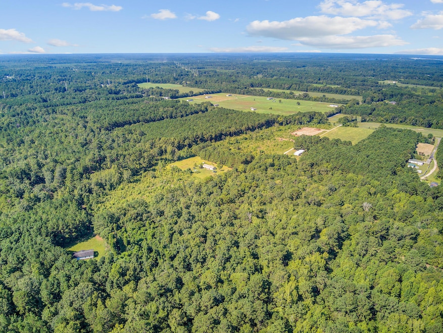 000 Eagle Terrace Trail, Cross, SC 29436 - photo 1