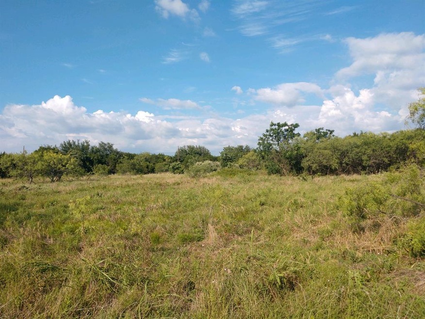 11011 Juniper Dr, Whitney, TX 76692 - photo 1