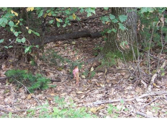 1317 Beechwood Cir, Waterboro, ME 04061 - photo 1