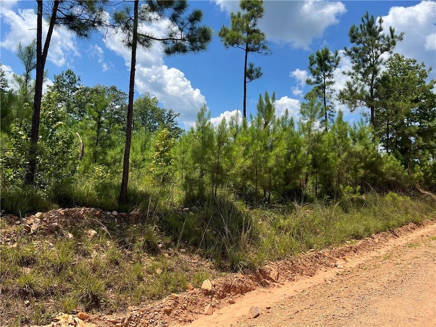 5026 Lee Rd 254 Rd, Salem, AL 36874 - photo 1