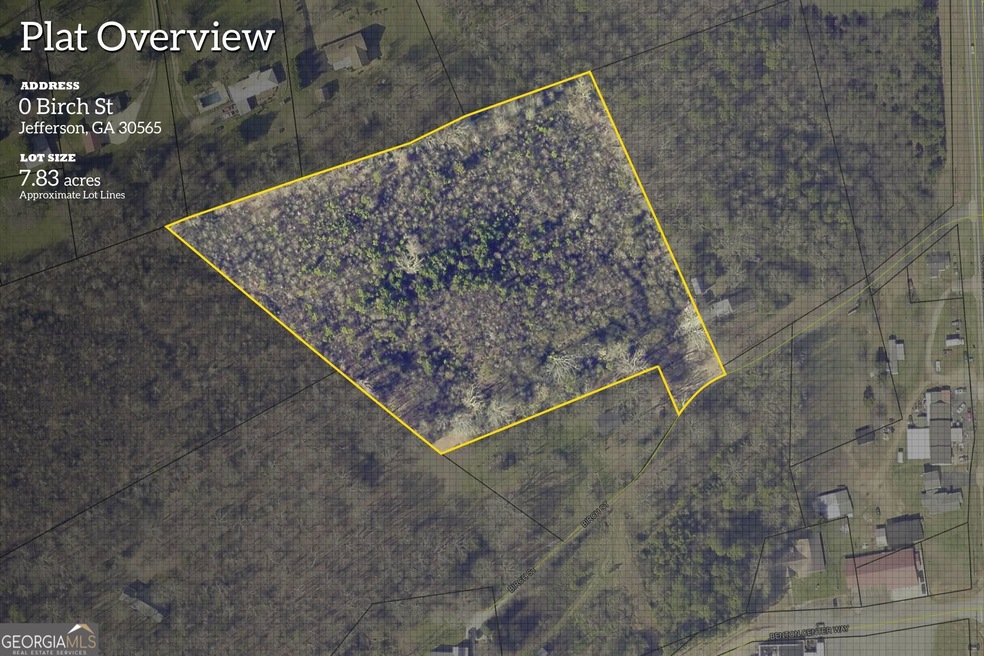 0 Birch St unit 20152885, Nicholson, GA 30565 - photo 1