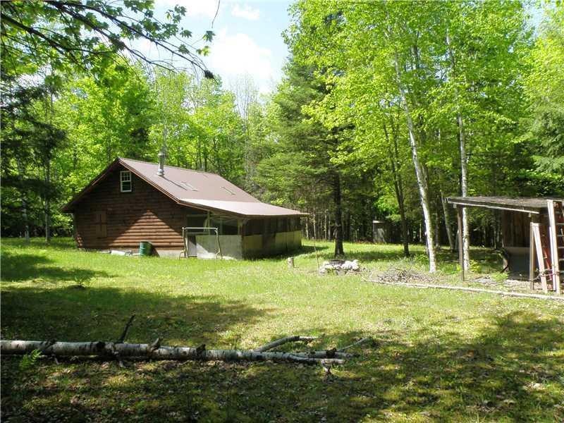 Exterior Back. Nice back lawn for...