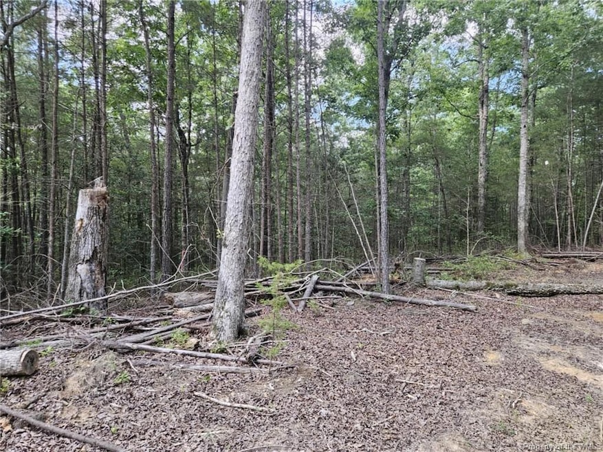 10055 Old Stage Rd, Toano, VA 23168 - photo 1