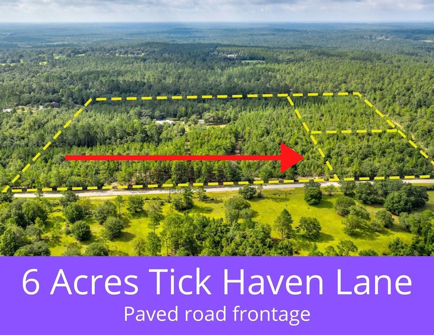 6 Acres Tick Haven Lane 2