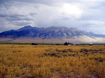 Main View
