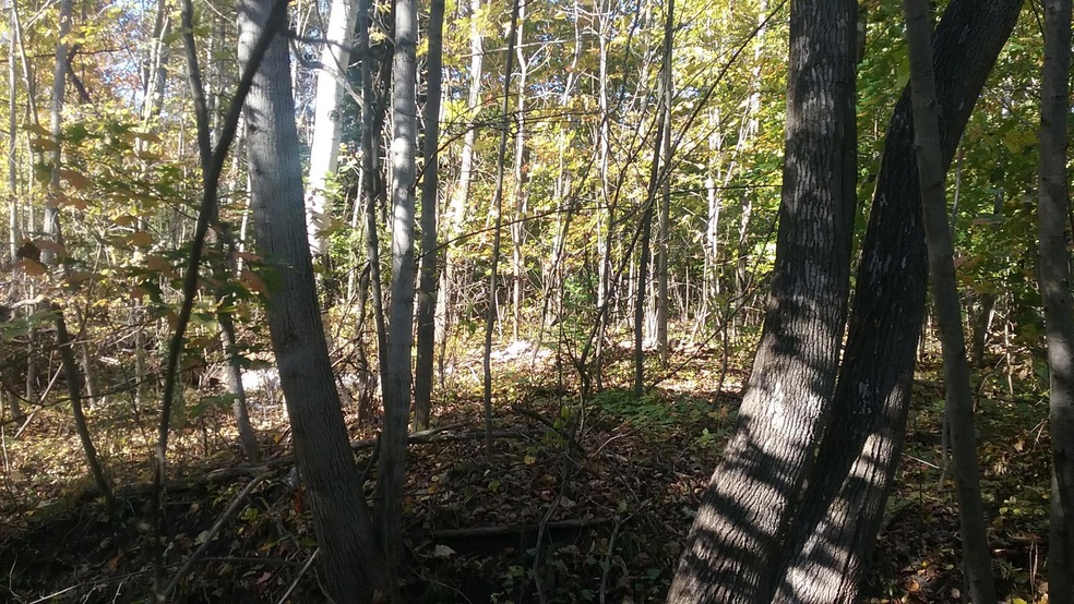 20171018_153353