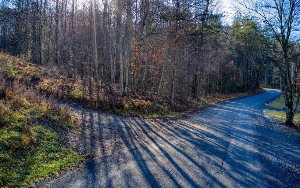 LT 41 Fish Trap Point, Mineral Bluff, GA 30559 - photo 1
