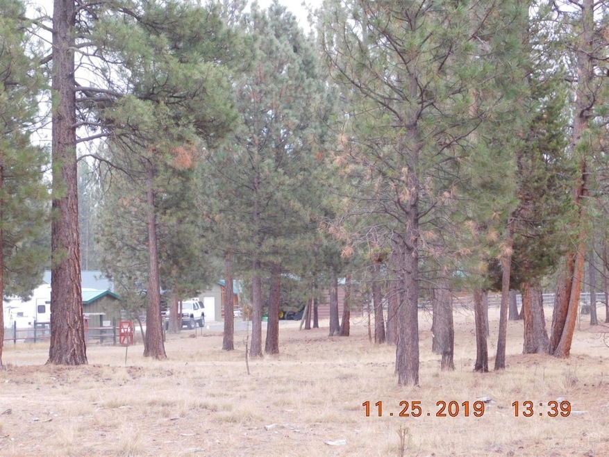 Primary Photo