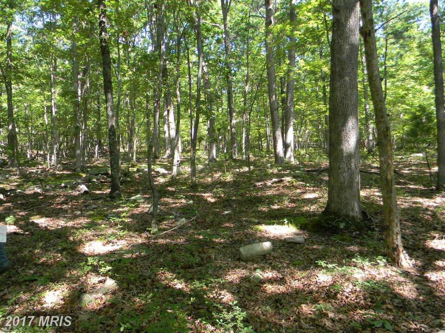 0 Back Rd unit 1003917327, Strasburg, VA 22657 - photo 1