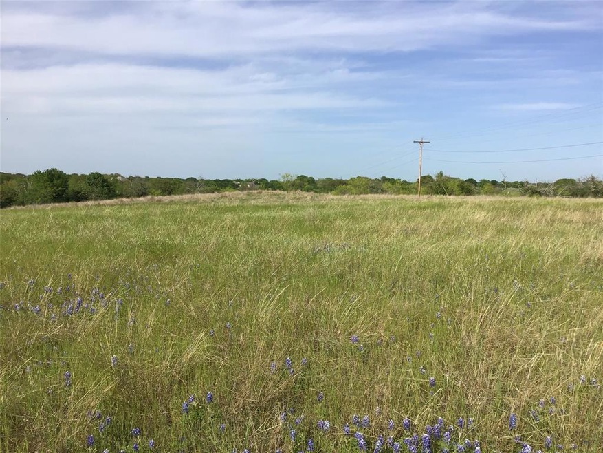 28002 White Bluff Dr, Whitney, TX 76692 - photo 1