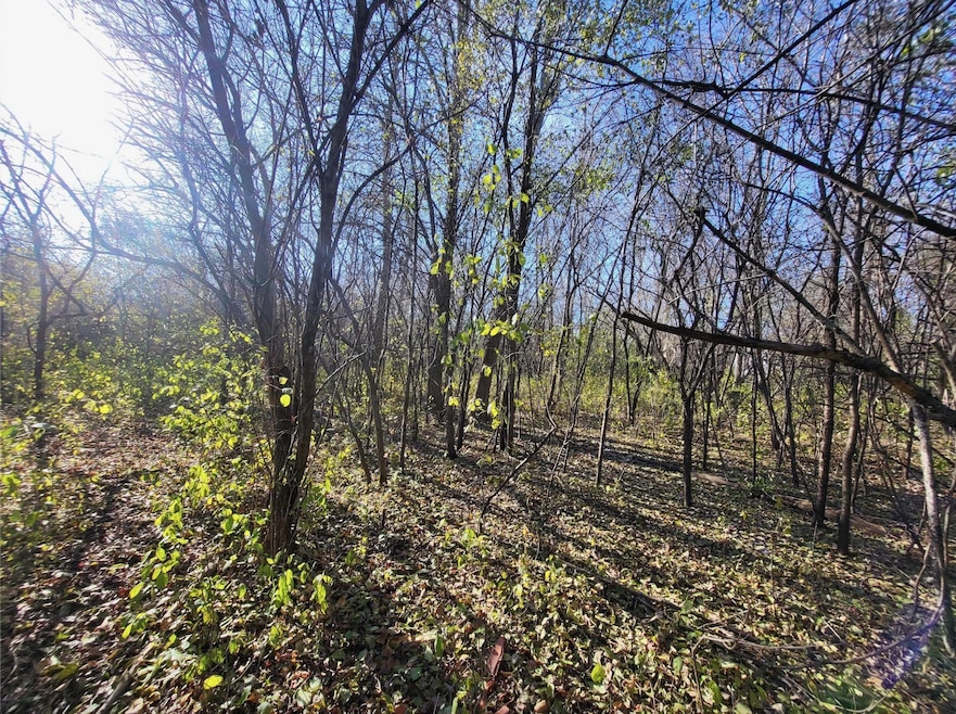 TBD 438th St, Harris, MN 55032 - photo 1