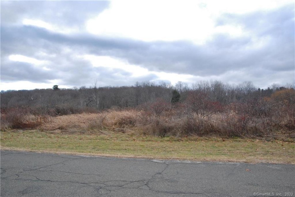 0 Goslee Rd unit 4 170287373, Litchfield, CT 06759 - photo 1